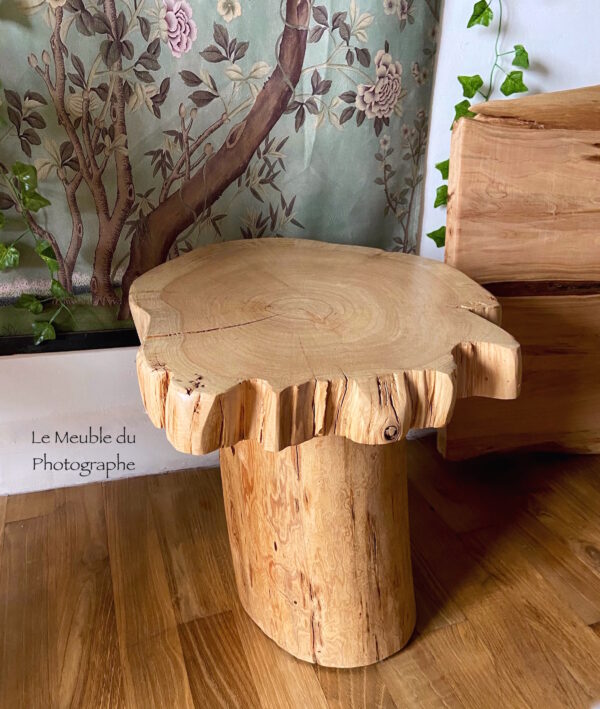 Petite table rondin forme champignon pour table basse ou de chevet. Dimensions 40x40cm. Bois local français.