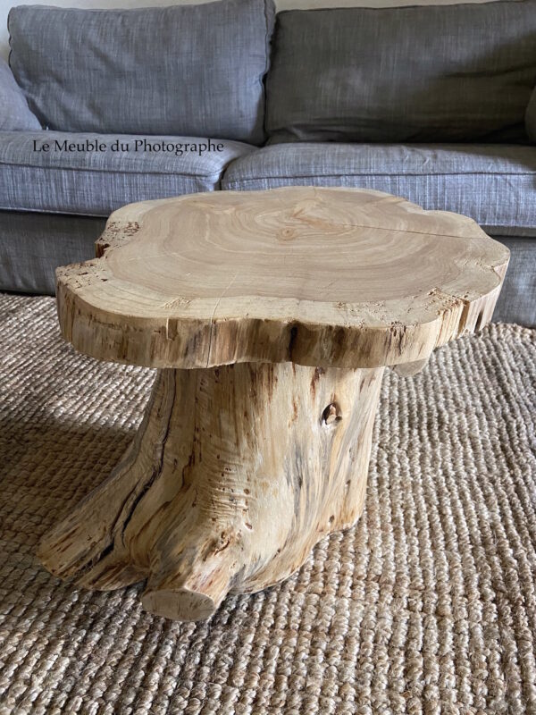 Table basse ou d'appoint en rondin de bois. Diamètre 45cm. Fabrication artisanale avec du bois local français (Bretagne).