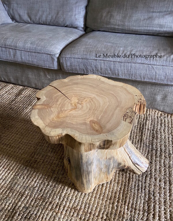 Table en rondin de bois français, forme fleur ou champignon 45cm diamètre. Bois local de Bretagne.