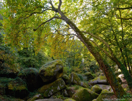 Forêt d'Huelgoat. Bretagne.